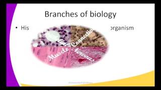 Form1 Biology Lesson 1 Introduction To Biology [upl. by Icnan]