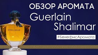 Обзор и отзывы о Guerlain Shalimar Герлен Шалимар от Духирф  Бенефис аромата [upl. by Enialem]