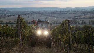 Ode To Harvest  Fattoria Le Pupille [upl. by Eillah]