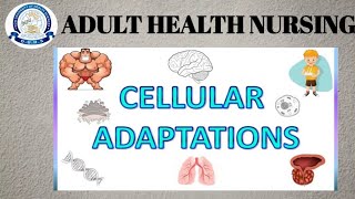 Cellular Adaptation  Neoplasms  Necrosis  Apoptosis l lacture by Sadaf ikram [upl. by Valaree]