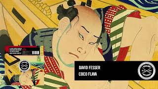 David Fesser  Coco Flava Sosumi Records [upl. by Attenauqa]