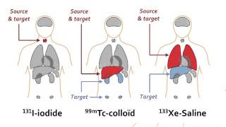 IAEAEANM webinar  Basic Radiopharmaceutical Dosimetry  Basic Nuclear Medicine webinars series [upl. by Adeys]