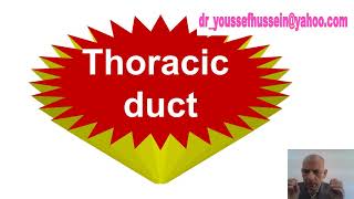 4 Thoracic duct [upl. by Cheshire]