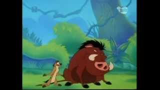 Timon i Pumba  piosenka [upl. by Gaskin]