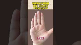 少阻碍，福气多的掌纹手相 八字算命 熱門 palmistry [upl. by Zoe]