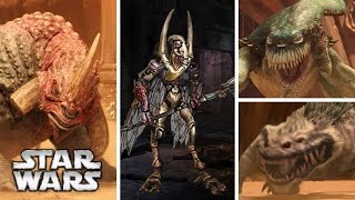 Geonosian Gladiators and the Creatures from the Geonosis Arena [upl. by Rolyt]