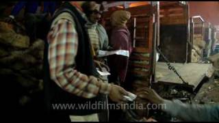 Wholesale Vegetable Market Azadpur New Delhi [upl. by Llerrahs]