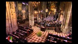 9Wiener Sängerknaben  Coronation Mass in C Major K317  Sanctus  A Mozart Celebration [upl. by Yroggerg]