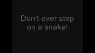 Don Spencer  Dont Ever Step On A Snake Lyrics [upl. by Deer]