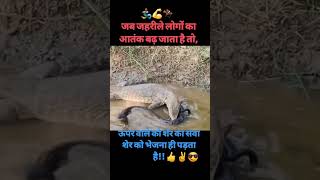 जहरीले लोगों का भी अंत बहुत खतरनाक होताmotivationalvideosubscribemychannel 👍👍👍💐💐👌👌 [upl. by Klayman340]