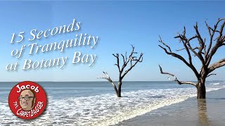 15 Seconds of Tranquility at Botany Bay [upl. by Gord]