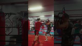 muay thai sparring combo [upl. by Kristine]