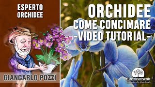 Come si concimano le orchidee Tutorial con Giancarlo Pozzi [upl. by Middleton665]