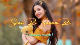 Sanam Re Sanam Re  Bhigi Bhigi Sadko Mai  viralvideo song hindisong trendinglove music [upl. by Vanny976]