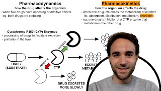 CYP Enzyme Inhibitors amp Inducers Psychotropic DrugDrug Interactions [upl. by Kcir]