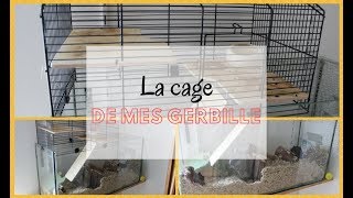 ➳ La cage de mes gerbilles  CAGESENVIRONNEMENT [upl. by Claus]