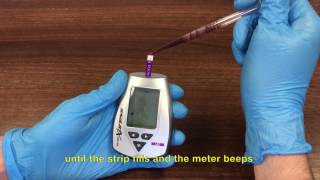 NovaVet Lactate Meter Demonstration [upl. by Nonnair]