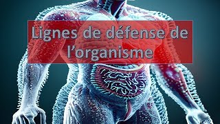 Lignes de défense de l’organisme [upl. by Nnahs]