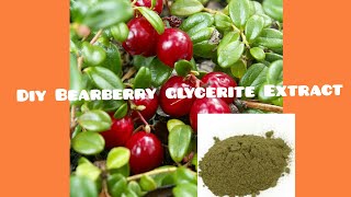 DIY BEARBERRY LEAF GLYCERITE EXTRACT FOR EFFECTIVE SKIN WHITENING [upl. by Ahsieken358]