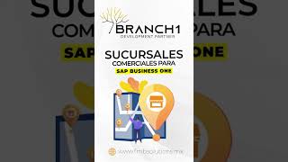 Sucursales para SAP Business One [upl. by Dorine317]