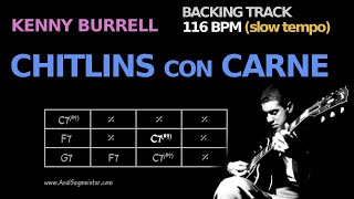 Chitlins Con Carne 116 BPM slow Backing Track [upl. by Wernick]