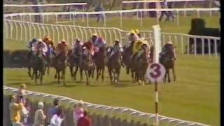 1989 Swinton Insurance Trophy Handicap Hurdle [upl. by De]