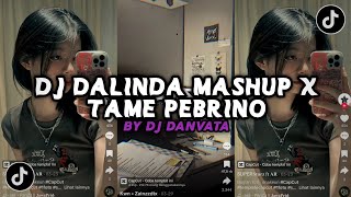 DJ OH SAYANG DALINDA MASHUP X TAME PEBRINO BY DJ DAVANTA [upl. by Noiraa]