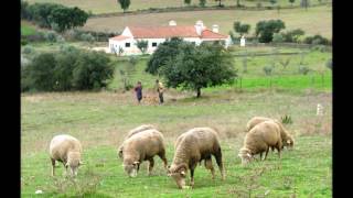 Venham ver o Alentejo [upl. by Inaniel]