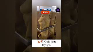 Broyler oldu Kənd Toyuğu 🤣 broyler kənd kəndhəyatı toyuq baki baku azerbaycan azerbaijan [upl. by Ardnekat]