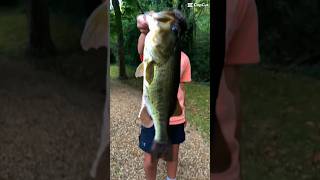 From dunks to donks fishingvideo bassfishing fishing sportfishing bass funfishing fish carp [upl. by Olsson]