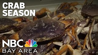 Bay Areas commercial Dungeness crab season opens after delay [upl. by Atte358]