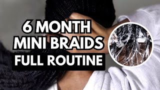 NEW HAIR GROWTH CHALLENGE  6 Month Mini Braids  Natural Hair  South African YouTuber [upl. by Delfeena427]