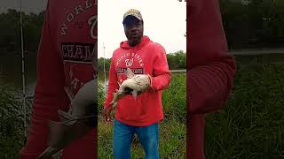 Anacostia River fishing [upl. by Eresed]