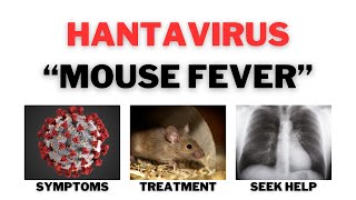 Hantavirus  Hantavirus Pulmonary Syndrome  quotMouse Feverquot Symptoms and Treatment [upl. by Acireh]