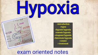 Hypoxia types causes treatment physiology [upl. by Drogin]