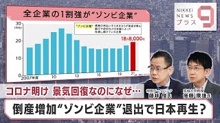 コロナ明け 景気回復なのになぜ… 倒産増加“ゾンビ企業”退出で日本再生？【日経プラス９】（2023年6月8日） [upl. by Stanton]