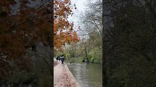 Cotswold on 60 seconds nature cotswoldvillages travel countryside naturephotography natureshot [upl. by Essirahc]