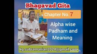 Alpha wise Sanskrit Padham and corresponding Tamil MeaningXL file Chapter 7 for all the 30 Slokhas [upl. by Renae]