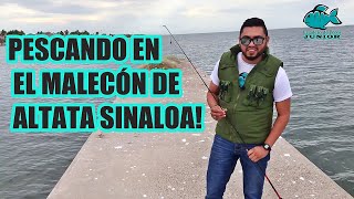 Pescando en el Malecón de ALTATA Sinaloa México  Junior López [upl. by Aaron]