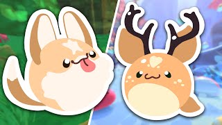 Estos son los SLIMES MAS TIERNOS de SLIME RANCHER 2 [upl. by Epilif410]