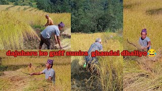 mangsir ma gautira Kam sagauna pugiyovillage vlog [upl. by Loris]