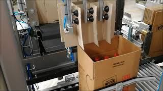 00257 FORMATORE INCARTONATORE INSERITORE DI ALVEARE  CASE ERECTOR PACKER PARTITION INSERTER [upl. by Brennan]