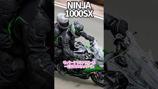 NINJA1000SX、スポーツツアラー界の救世主 バイク ゆっくり解説 [upl. by Marilla]