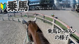 日本乗馬倶楽部さんで乗馬レッスン（＋高松宮記念の予想） [upl. by Valiant]