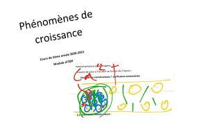 Phénomènes de croissance Ossification membraneuse [upl. by Kcirdled]