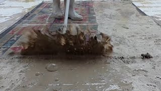 What Happens When You DEEP CLEAN a Dirty Rug [upl. by Freed]