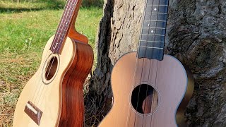 New Original Fingerstyle Ukulele Tune Jungbluth amp Brüko Soprano [upl. by Alasteir]