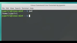 pwd cd Absolute and Relative paths [upl. by Nebra889]