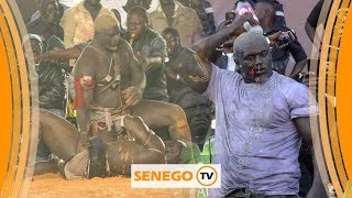 Best Off combat Balla Gaye 2 vs Modou Lô ok [upl. by Googins]