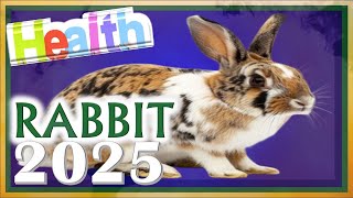 Rabbit Horoscope 2025  Health  Born 2023 2011 1999 1987 1975 1963 1951 1939 [upl. by Neelrac]